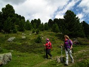 171 Scendiamo a valle tra alti pini mughi